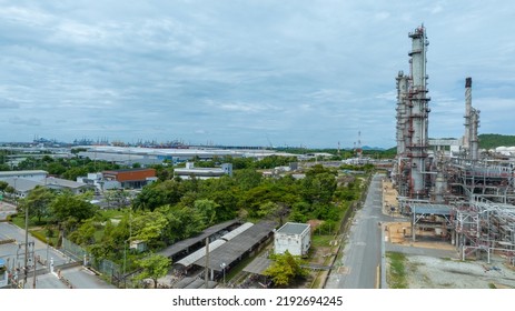 36,671 Crude plant Images, Stock Photos & Vectors | Shutterstock