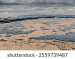 Oil in sea coastline after a tanker wreck. Fuel oil polluted beach