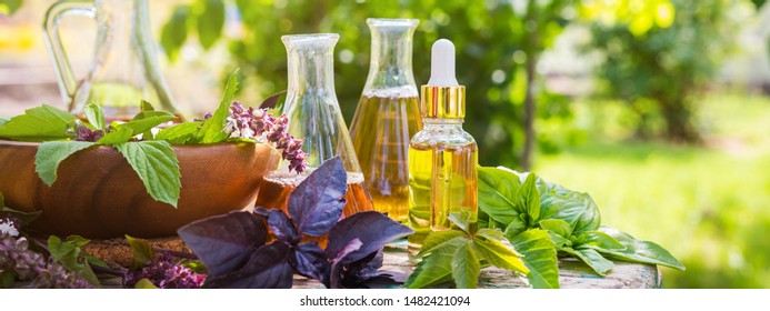 Oil For Skin Care, Massage From Natural Ingredients, Herbs, Mint In Glass Jars And Test Tubes On A Green Background In The Garden On The Nature, Natural Cosmetics