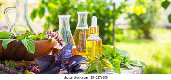 Oil For Skin Care, Massage From Natural Ingredients, Herbs, Mint In Glass Jars And Test Tubes On A Green Background In The Garden On The Nature, Natural Cosmetics