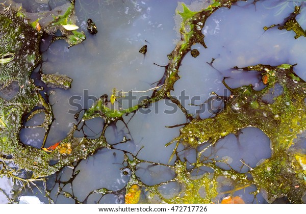 oil Slick and dirty water flow out\
of the sewer,pollution and environmental\
concern