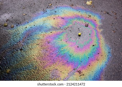 Oil Slick Looks Like A Bird On The Asphalt Road Background. Oil Stain On Asphalt, Color Gasoline Fuel Spots On Asphalt Road As Texture Or Background