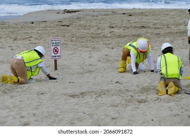 Oil Spill Clean Up Crew At The Beach