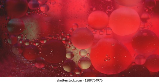 Oil in water bubbles abstract colorful background