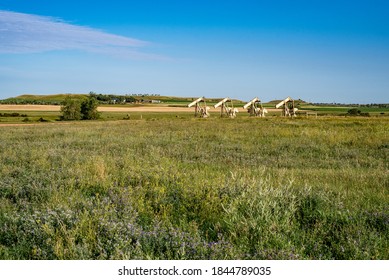 Oil Wells in Western North Dakota