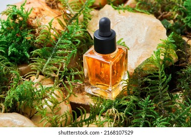 The Oilil For Nail And Cuticle Care In Glass Bottle On Natural Moss And Stone Background. Beauty And Care Concept. 