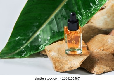 The Oill For Nail And Cuticle Care In Glass Bottle With Green Wet Leaf On Natural Stone Background. Beauty And Care Concept. 