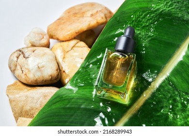 The Oill For Nail And Cuticle Care In Glass Bottle With Green Wet Leaf On Natural Stone Background. Beauty And Care Concept. 
