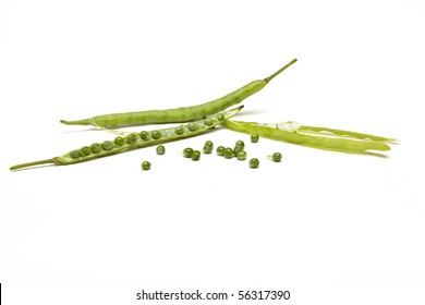 Oilseed Pods Used Make Vegetable Oils Stock Photo 56317390 | Shutterstock