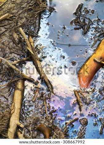 oily puddle with needles and branches