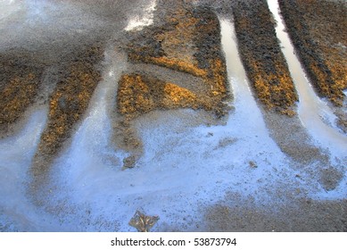 oily water and skid marks at a waste disposal