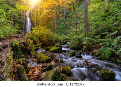 Oirase Autumn Fall Landscape of Forest woodland and waterfall in Aomori Tohoku Japan - Powered by Shutterstock