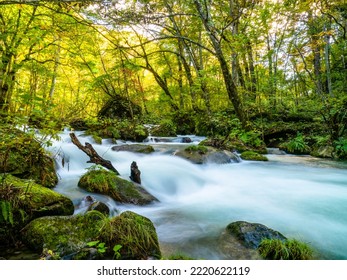 Oirase River In Aomori, Japan