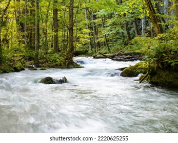 Oirase River In Aomori, Japan