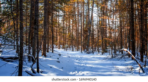 OK Slip Falls Adirondacks Winter Hiking