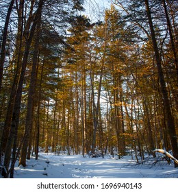 OK Slip Falls Adirondacks Winter Hiking