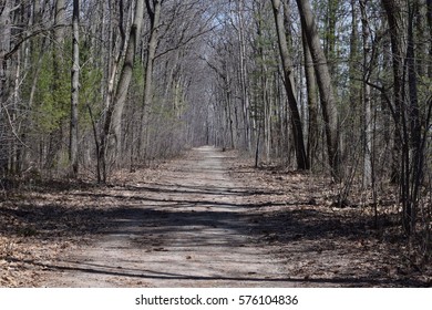 Oka, Quebec - Forest