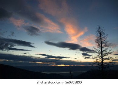 Okanagan Forest After Fire, Okanagan Lake And Myra Canyon