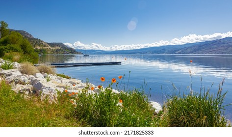 Okanagan Lake Canada. Summer landscape of a lake and mountains in the background in early morning. Concept relaxation. Perfect spot for tourists and quiet nature walks. Travel photo, nobody, copyspace - Shutterstock ID 2171825333