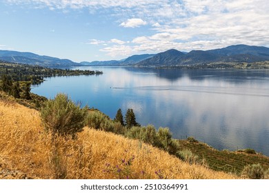 Okanagan Lake, Okanagan Valley, Naramata, wild horses, black bears, wildlife, scenic, landscapes, natural beauty, wineries, vineyards, orchards, rolling hills, sunset, golden hour, lake views, serene - Powered by Shutterstock