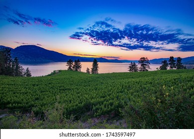 Okanagan Sunset Over Green Hills, Blue Water And Orange Skys