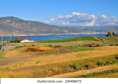 Okanagan Valley Landscape, BC