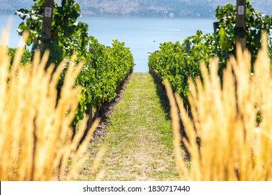 Okanagan Wine Country In Western Canada, British Columbia. Landscape