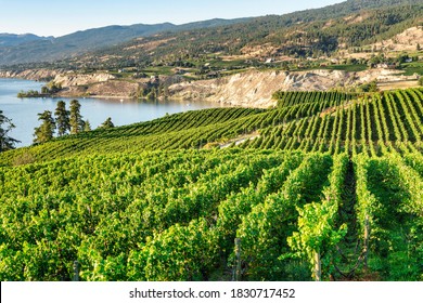 Okanagan Wine Country In Western Canada, British Columbia. Landscape