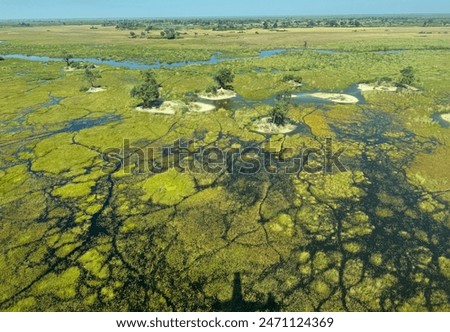 The Okavango Delta of Botswana