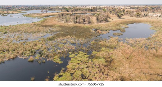 Okavango Delta (Botswana) Aerial View Shot From A Helicopter