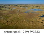 Okavango Delta, This delta in north-west Botswana comprises permanent marshlands and seasonally flooded plains. It is one of the very few major interior delta systems that do not flow into a sea.