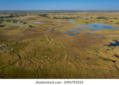 Okavango Delta, This delta in north-west Botswana comprises permanent marshlands and seasonally flooded plains. It is one of the very few major interior delta systems that do not flow into a sea. - Powered by Shutterstock