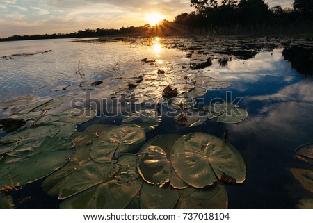 Similar – Image, Stock Photo seascape Reflection