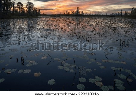 Similar – Image, Stock Photo seascape Reflection