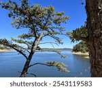 Oklahoma lake view of calm relaxing day with trees 