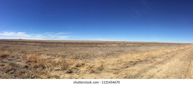 Oklahoma Panhandle Grass Plains