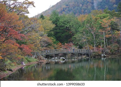 Nikko Yumoto Images Stock Photos Vectors Shutterstock - 