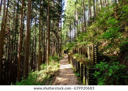 Similar – Image, Stock Photo Forest bath