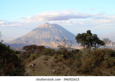 Ol Doinyo Lengai, Tanzania