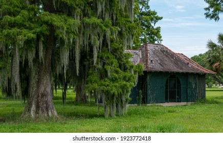 Old abandon building next to an old oak tree