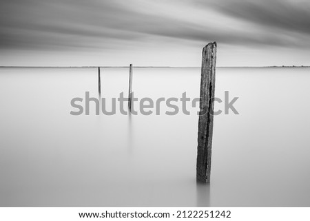 Old abandon wooden pole in minimalist black and white fine art photography. ( blurry soft focus noise grain visible in full resolution) 