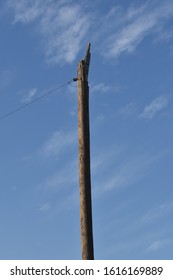 Old Abandoned Bare Broken Telephone Electric Pole With Guy Wire Ready For Sign Signage