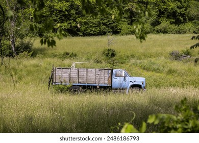 Old abandoned  blue truck in the middle of a field. - Powered by Shutterstock