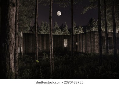 Old abandoned building in forest, Facade ruins of industrial factory. Spring long pine forest at night - Powered by Shutterstock