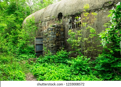 Old Abandoned Bunker Woods Military Fort Stock Photo 1233008572 ...