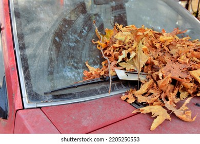 Old Abandoned Car In Autumn Season