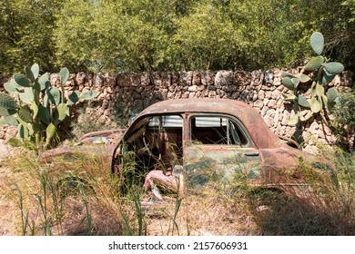 Old Abandoned Car In The Forest.