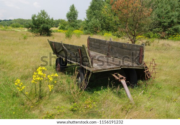 Old\
abandoned cart in a forest glade in the\
village