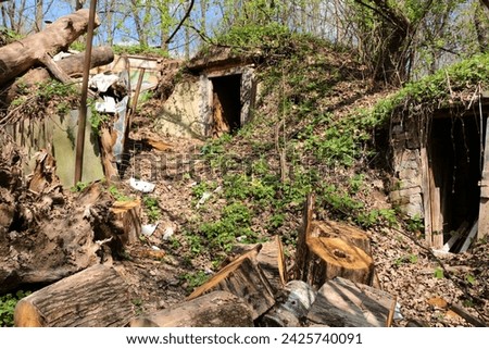 Old abandoned cellars for storing vegetables in an overgrown area