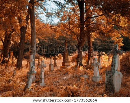 Old abandoned cemetery on a sunny autumn morning. golden autumn in the cemetery.